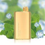 Buy Alibarbar Rich 8000 Puffs Disposable Vape Wholesale - Image 8