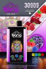 Bang King 30K PRO Disposable Vape Wholesale Germany - Image 6