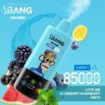 Bang Leader 85K Disposable Vape Wholesale Spain - Image 8