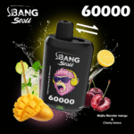 Bang Stoll 60k Puffs Wholesale Disposable Vape Dual Flavors - Image 11