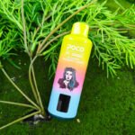 POCO PT 18000 Puffs Disposable Vape EU Warehouse
