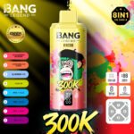 Bang Legend 300K Puffs Disposable Vape Wholesale - Image 5