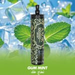 AAOK 100K Puffs Disposable Vape Wholesale - Image 4