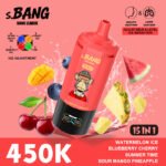 Bang Leader 450K Puffs Disposable Vape Wholesale - Image 11