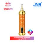 JNR Crown Shisha 100K Vape | 100K Puff Disposable